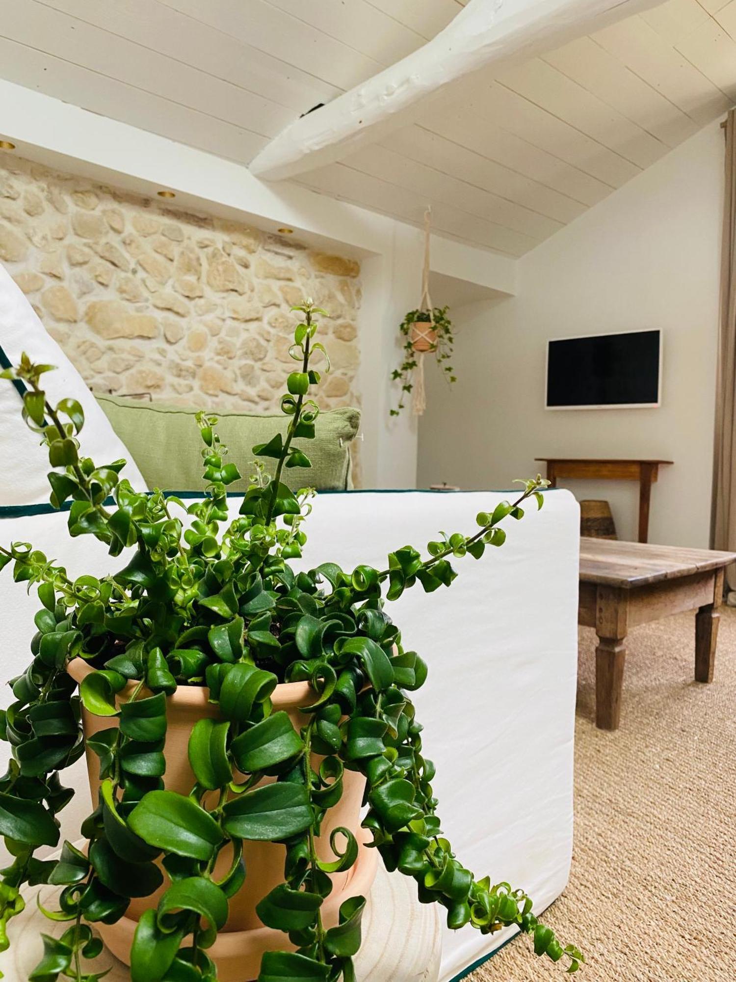 La Bastide De Guiche Entre Ocean Et Montagnes Διαμέρισμα Εξωτερικό φωτογραφία